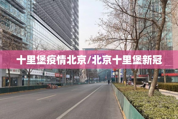 【期货豆粕16号最新行情/期货豆粕2101行情】