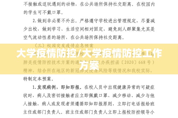 大学疫情防控/大学疫情防控工作方案