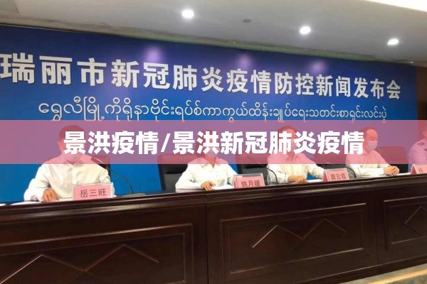 景洪疫情/景洪新冠肺炎疫情