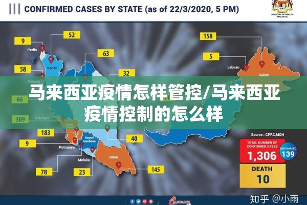 新冠疫情最新情况查询/新冠疫情最新记录