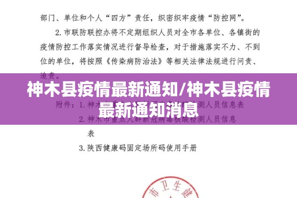 【棉花期货每天走势图行情/棉花期货实时行情日线图】