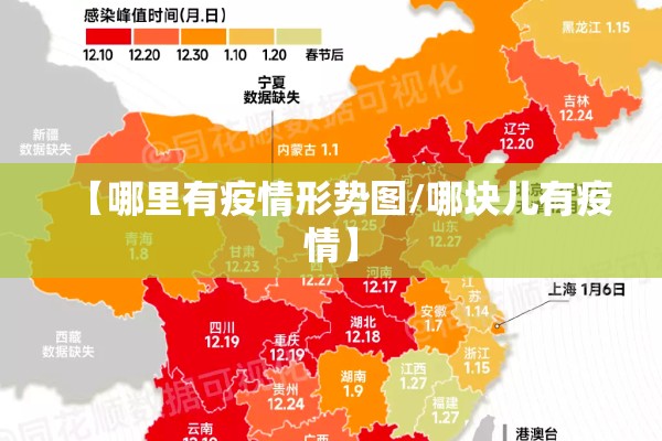 【哪里有疫情形势图/哪块儿有疫情】