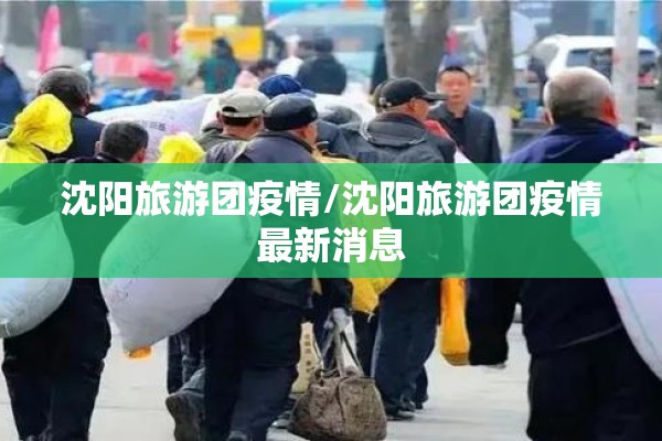 沈阳旅游团疫情/沈阳旅游团疫情最新消息 沈阳旅游团疫情/沈阳旅游团疫情最新消息