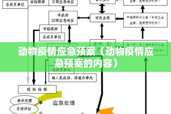 【景区疫情防控/景区疫情防控工作要求】