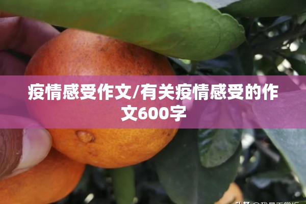 【碳化硅期货最新消息行情,碳化硅今日报价】