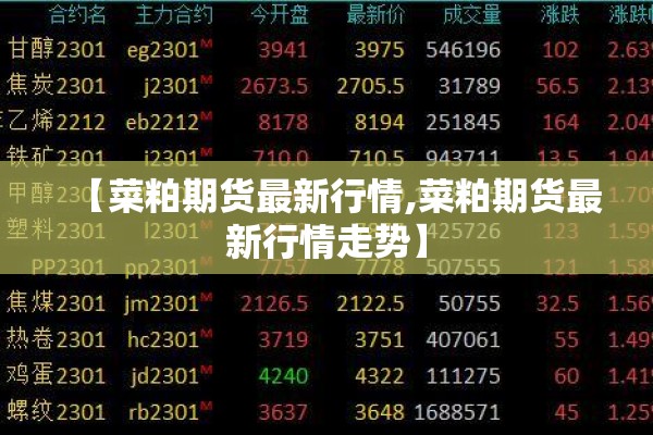 疫情期间视频会议/疫情期间 视频会议