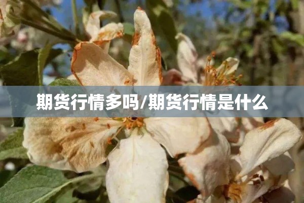 2022抗疫情的诗句/2020关于抗击疫情的诗句精选5首