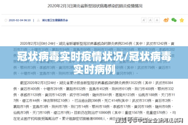 冠状病毒实时疫情状况/冠状病毒实时病例 冠状病毒实时疫情状况/冠状病毒实时病例