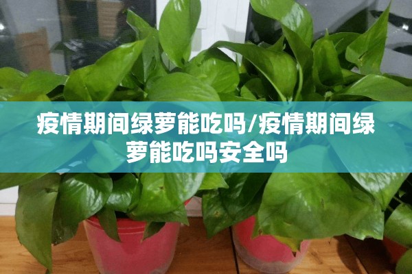 爱辉区疫情/爱辉区确诊病例