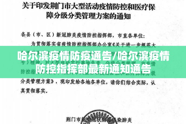 上海铝期货行情最新/上海铝期货行情最新价格