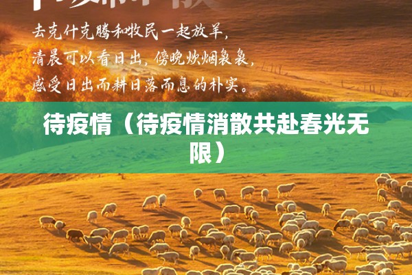 迈阿密市区疫情/迈阿密新闻