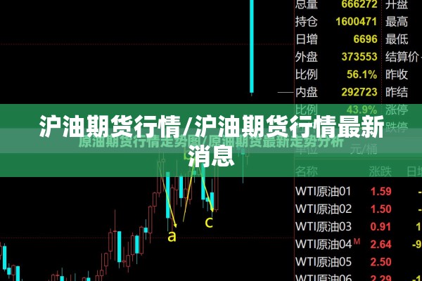 期货行情高手:期货高手视频播放