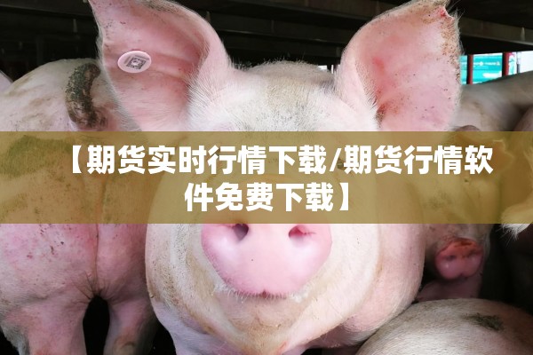 【期货实时行情下载/期货行情软件免费下载】