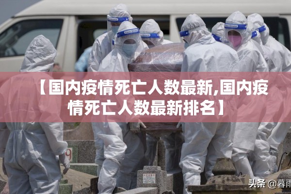 【新冠疫情培训总结,新冠疫情培训材料】