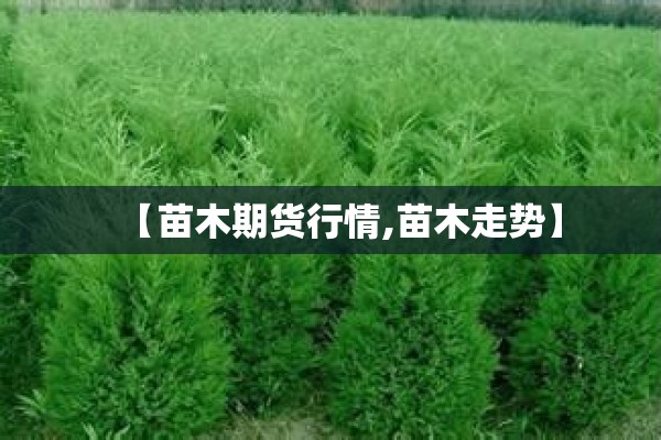 【苗木期货行情,苗木走势】