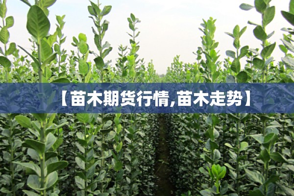 医疗机构疫情防控方案:医疗机构疫情防控总体方案