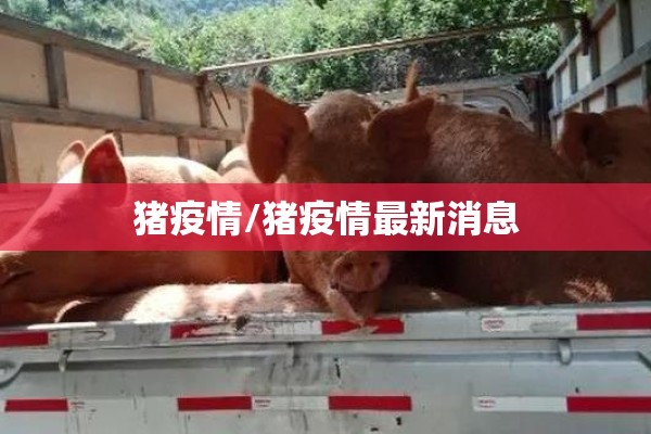 辽宁疫情日报系统（辽宁疫情日报系统查询）