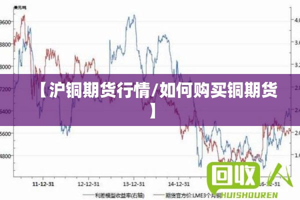 寿光期货行情（寿光期货行情走势）
