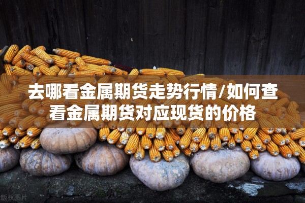 【期货今日市场走势与行情/期货今日走势分析】