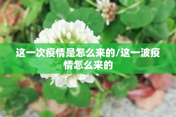 【豆帕期货最新行情,豆粕期货最新价格行情】