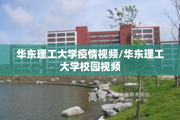 【疫情之下的商机,疫情下的商机2020】