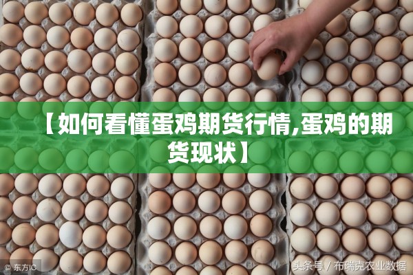 疫情期间告家长书:疫情告家长书怎么写