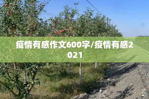【期货探针行情/期货探针行情分析】