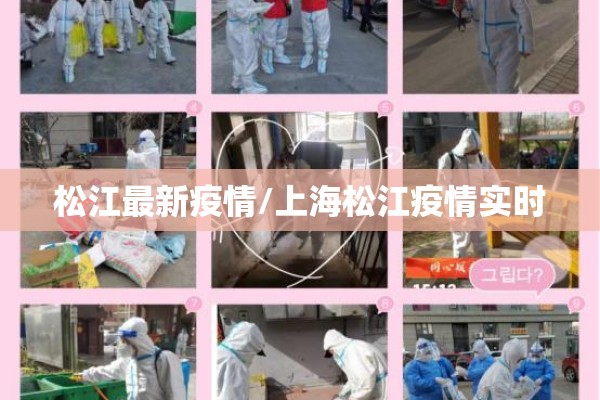 【淀粉期货最新行情,淀粉期货实时行情】