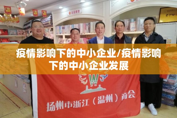 疫情影响下的中小企业/疫情影响下的中小企业发展