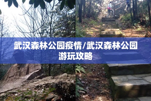 武汉森林公园疫情/武汉森林公园游玩攻略