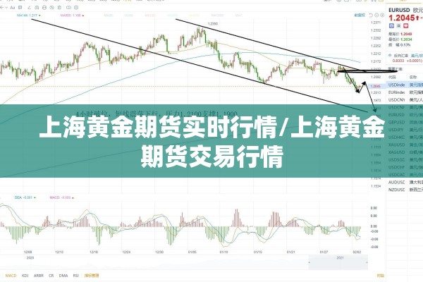 推动疫情防控/持续发力推进疫情防控工作