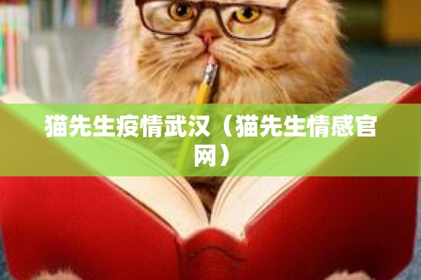 猫先生疫情武汉（猫先生情感官网）