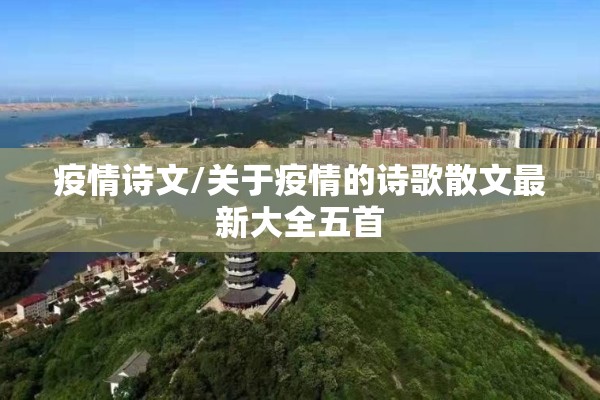 【白糖期货行情预测/白糖期货未来走势】