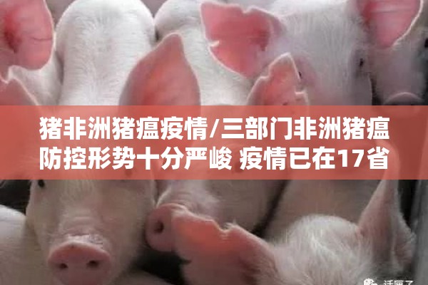 疫情小程序/疫情防疫小程序