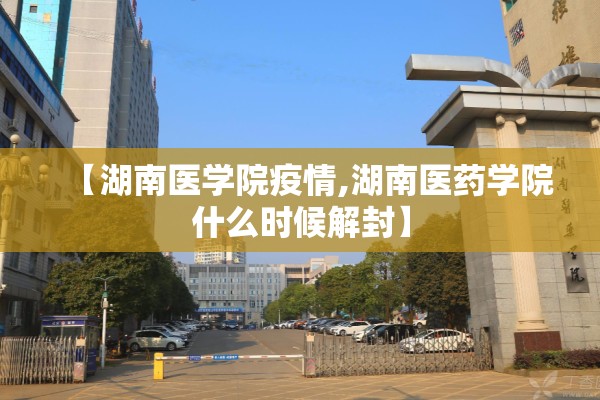 【期货市场行情分析,期货市场行情分析论文】