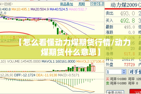 【疫情公告,疫情信息公告】
