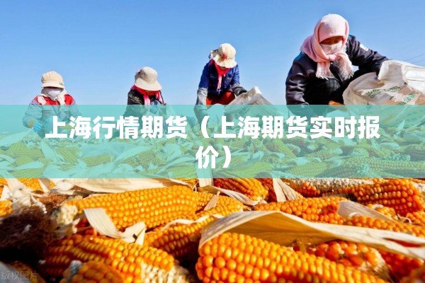 上海行情期货（上海期货实时报价）