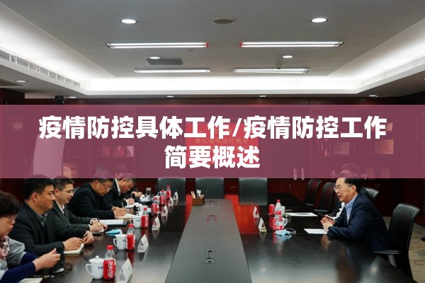 疫情防控具体工作/疫情防控工作简要概述