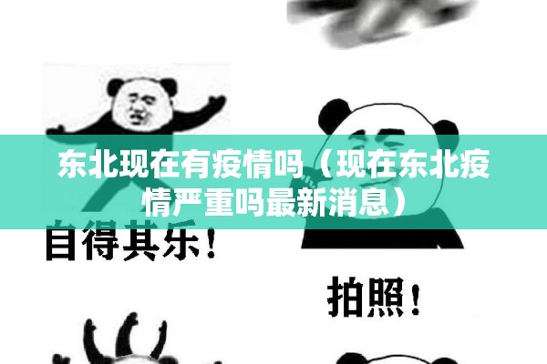 期货行情预警:期货行情预测分析