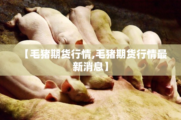 【毛猪期货行情,毛猪期货行情最新消息】