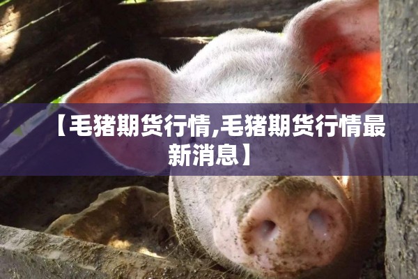 疫情要注意什么/疫情要注意些什么?