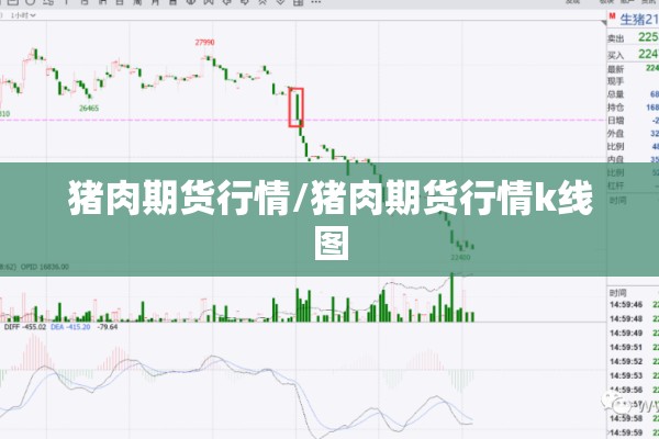 猪肉期货行情/猪肉期货行情k线图