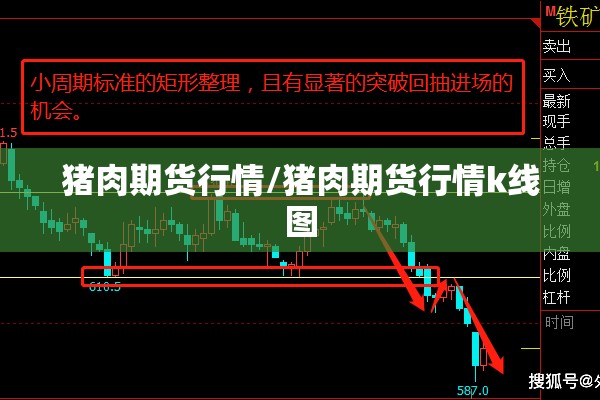 【临潼疫情防控电话,临潼疫情防控电话号码】
