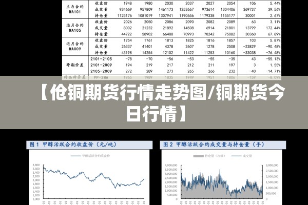 2022年2月份疫情统计表:2021年2月疫情报告