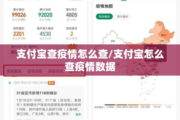 豆类期货行情:豆类期货有哪些