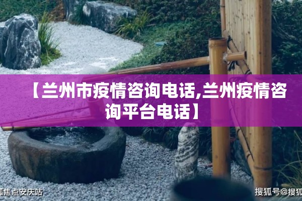 央视网新闻广东疫情/新闻1+1广东疫情
