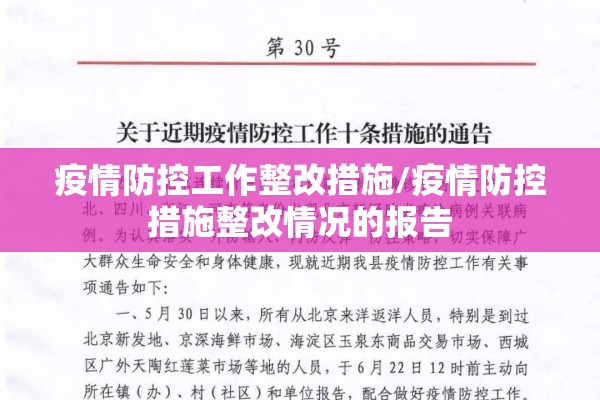 疫情防控工作整改措施/疫情防控措施整改情况的报告