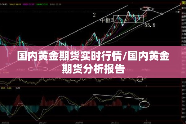 国内黄金期货实时行情/国内黄金期货分析报告