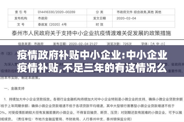 疫情政府补贴中小企业:中小企业疫情补贴,不足三年的有这情况么?