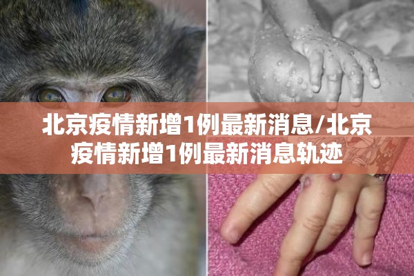 期货的年底行情:期货交易年底时间